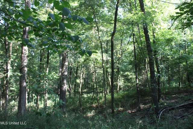 $145,000 | 8420 Milne Way, Hernando, MS 38632