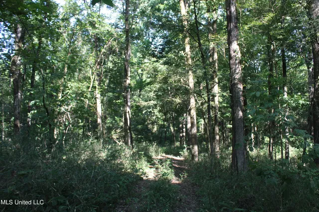 $145,000 | 8420 Milne Way, Hernando, MS 38632