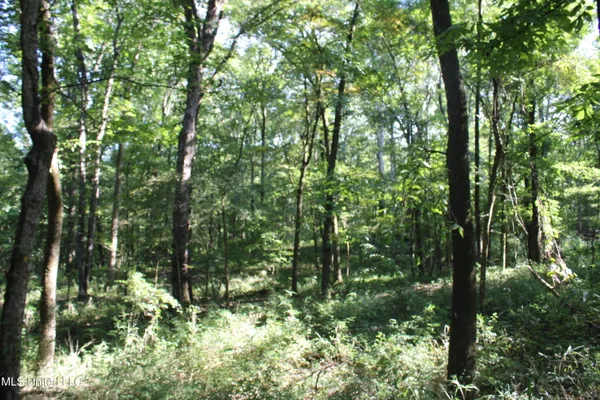 $145,000 | 8420 Milne Way, Hernando, MS 38632
