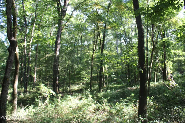 $145,000 | 8420 Milne Way, Hernando, MS 38632