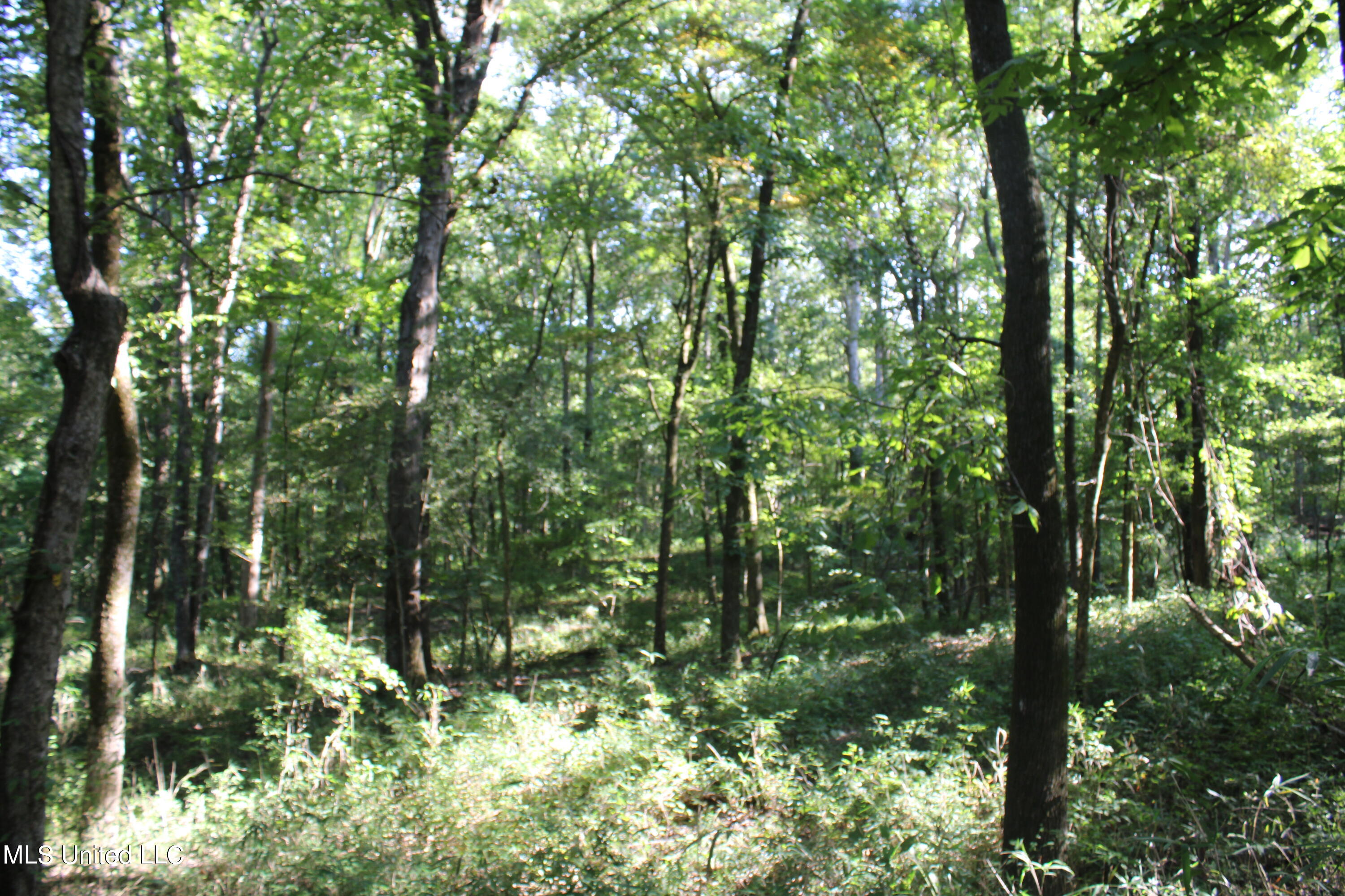 8420 Milne Way Hernando, MS 38632 - Photo 6 of 25 IMG_4349