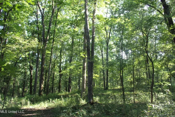 $145,000 | 8420 Milne Way, Hernando, MS 38632