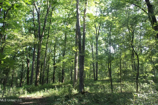 $145,000 | 8420 Milne Way, Hernando, MS 38632