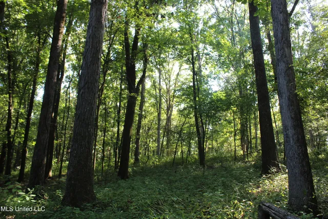 $145,000 | 8420 Milne Way, Hernando, MS 38632