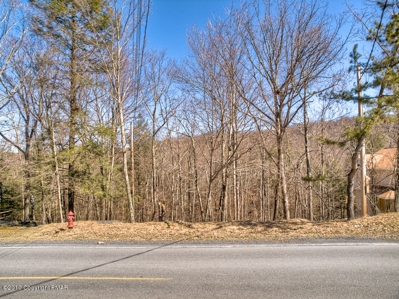 11 Decker Road Bushkill, PA 18324 - Photo 1 of 4 a view of road with a house