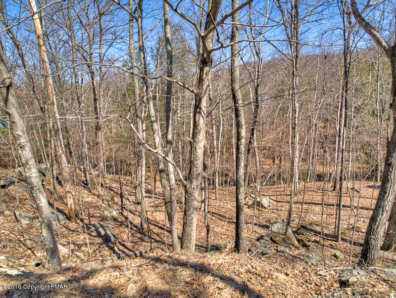 11 Decker Road Bushkill, PA 18324 - Photo 3 of 4