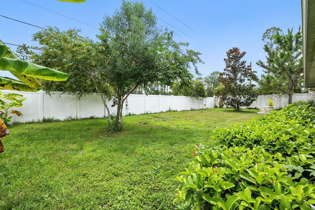8 Zorro Court Palm Coast, FL 32164 - Photo 32 of 43 a view of a yard with a tree