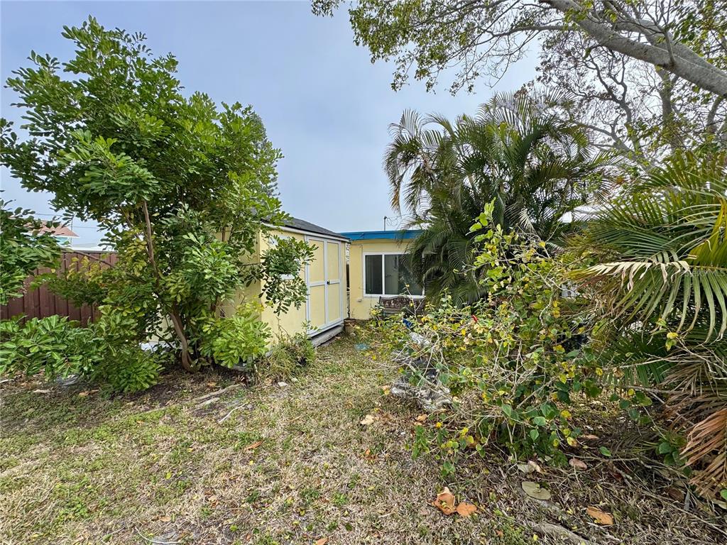 200 10th Avenue North Indian Rocks Beach, FL 33785 - Photo 12 of 15 a view of a house with a tree