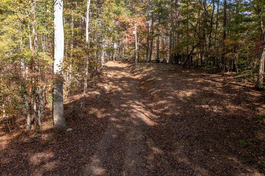 300 Springbrook Lane Murphy, NC 28906 - Photo 8 of 39 Gallery Image 8
