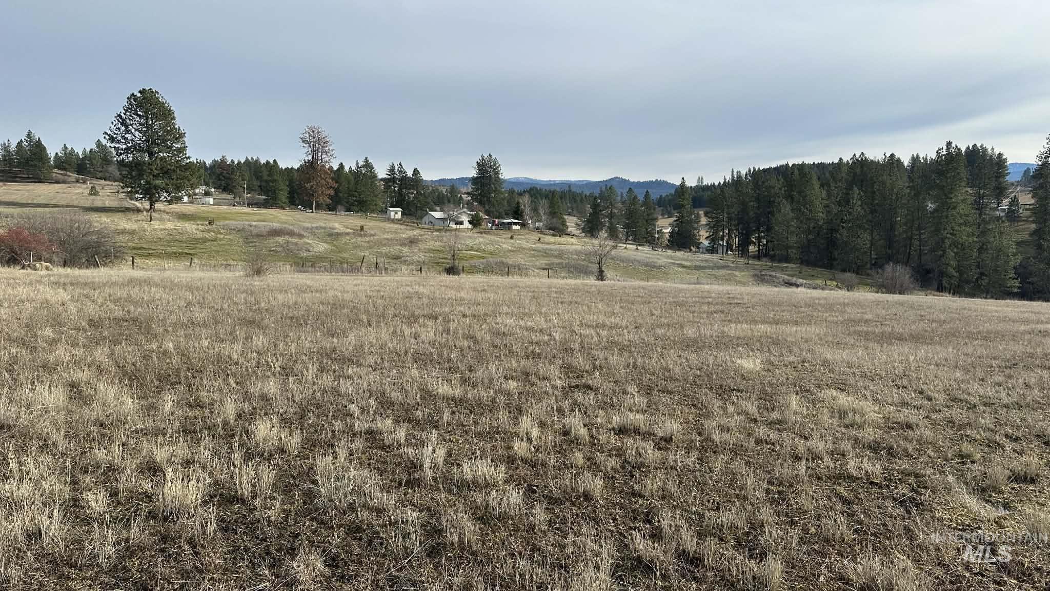 121 Sunset Lane Kooskia, ID 83539 - Photo 12 of 23 View of nature with rural landscape