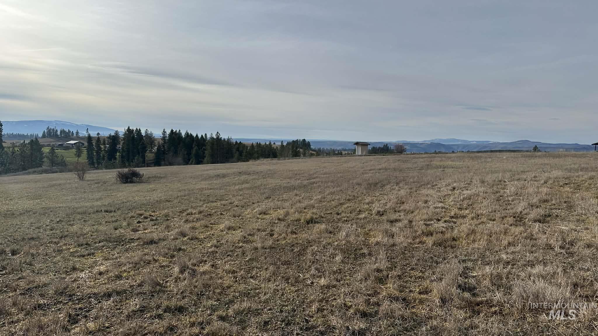 121 Sunset Lane Kooskia, ID 83539 - Photo 15 of 23 View of yard with a view of countryside and a mountain view