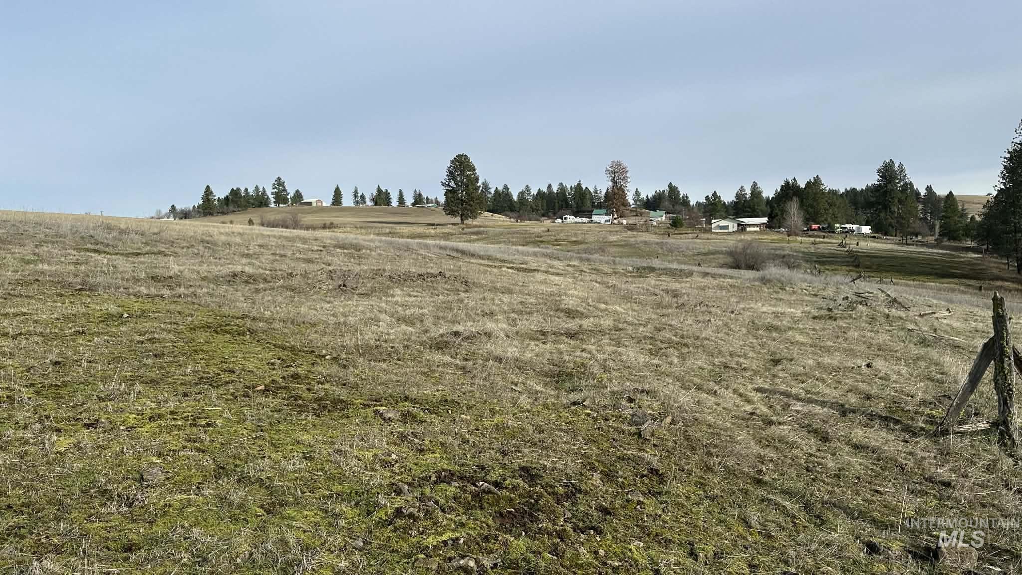 121 Sunset Lane Kooskia, ID 83539 - Photo 7 of 23 View of yard with a view of countryside