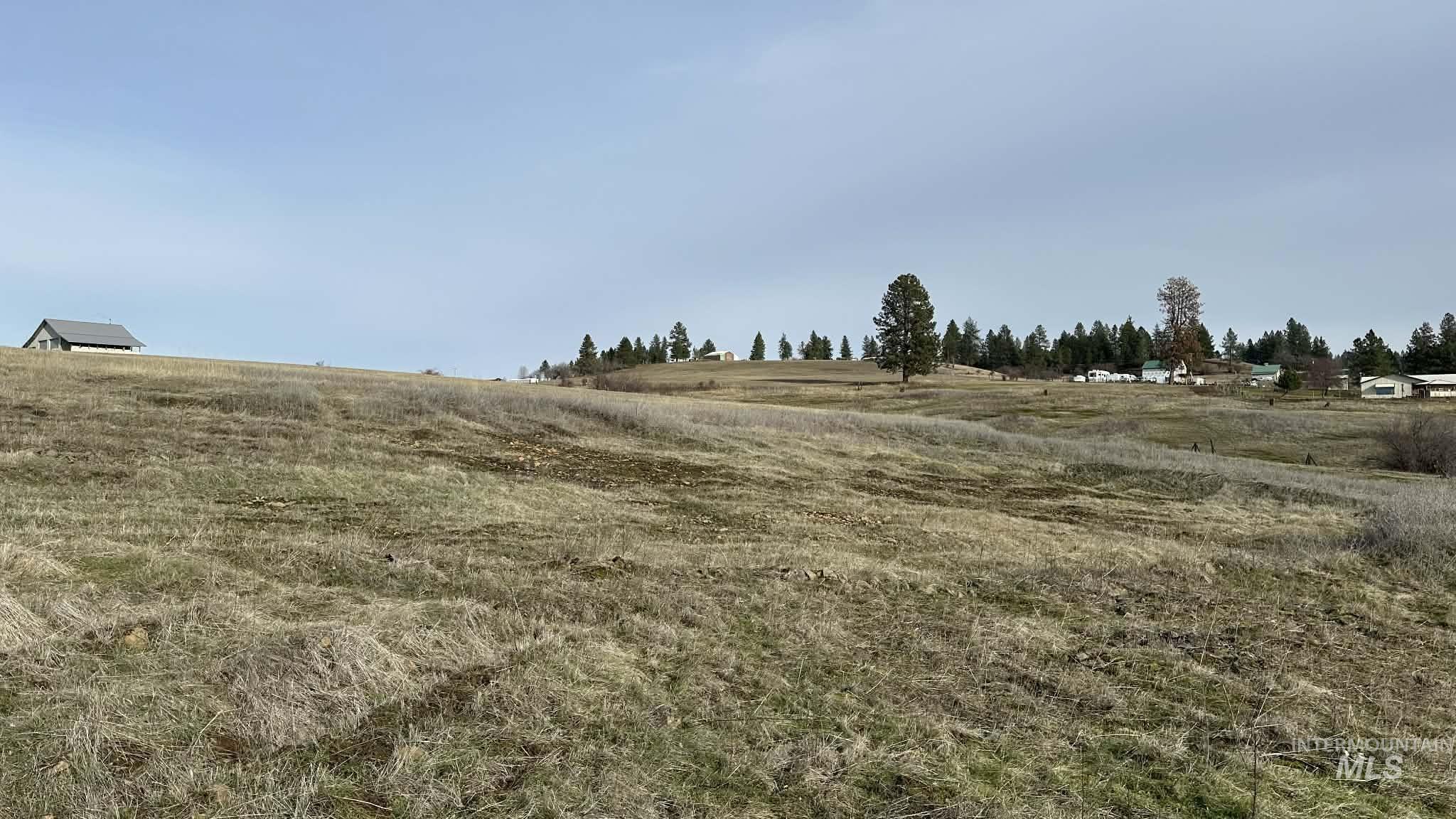 121 Sunset Lane Kooskia, ID 83539 - Photo 8 of 23 View of yard featuring a rural view