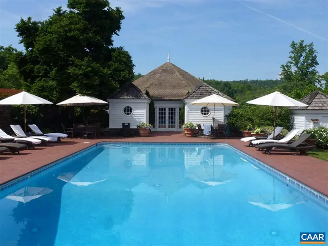 a view of a backyard with plants and large trees