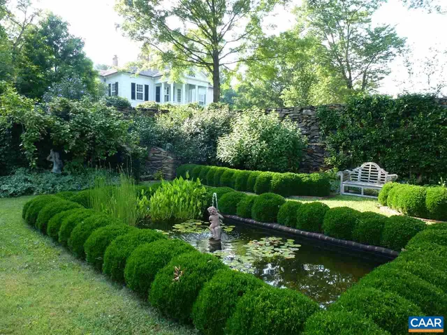a view of a garden with plants