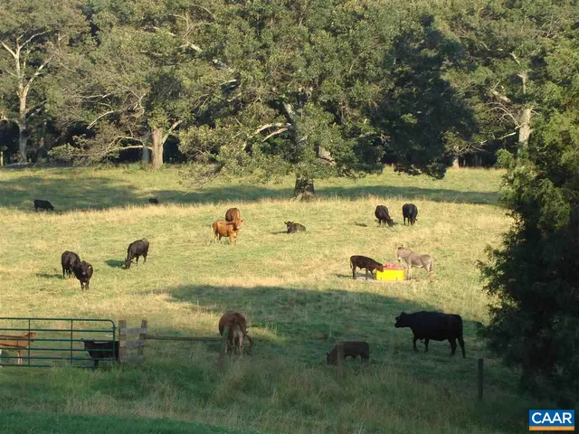 a front view of a house with a yard and potted plants