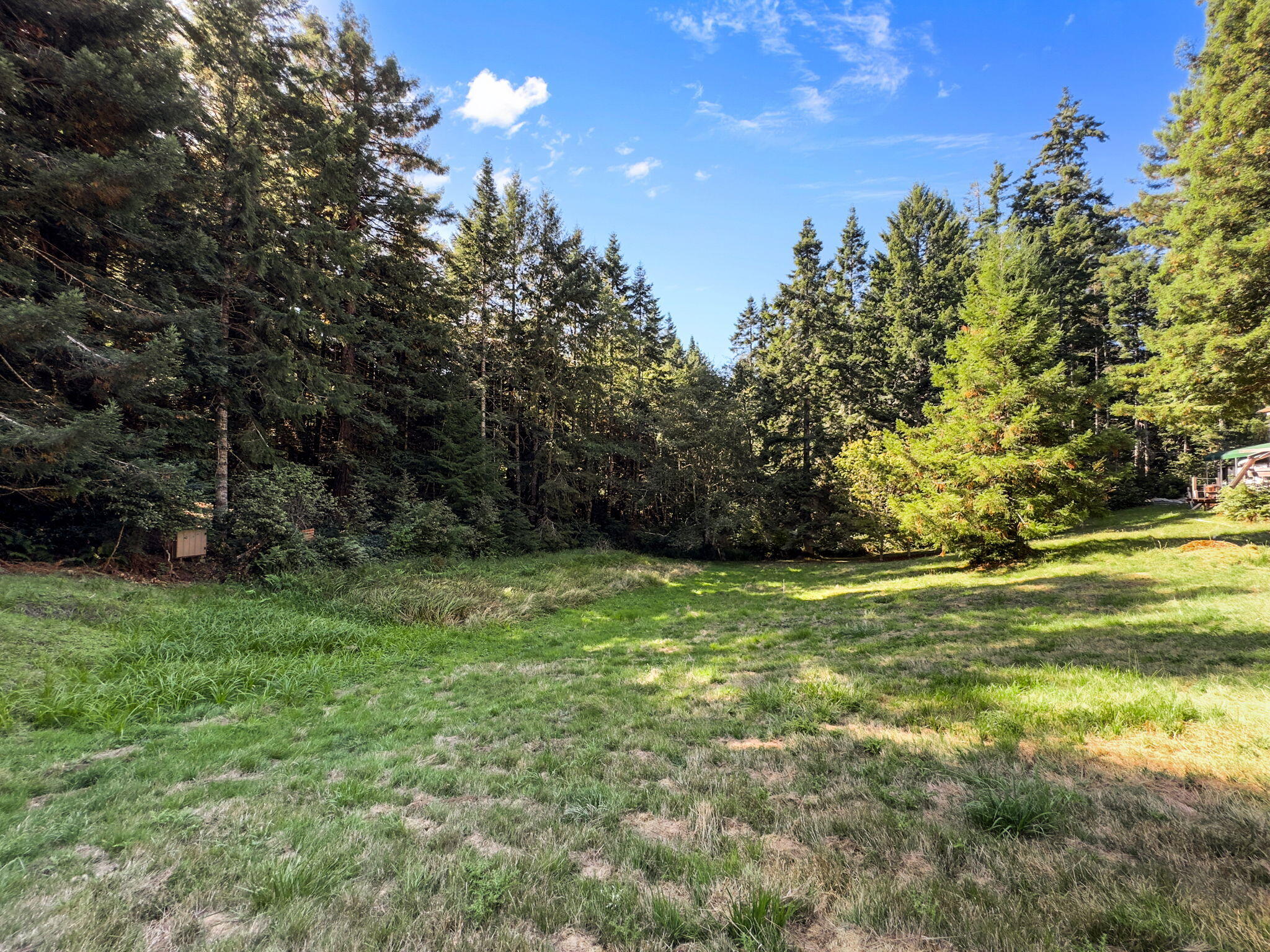7097 Fickle Hill Road Arcata, CA 95521 - Photo 12 of 43