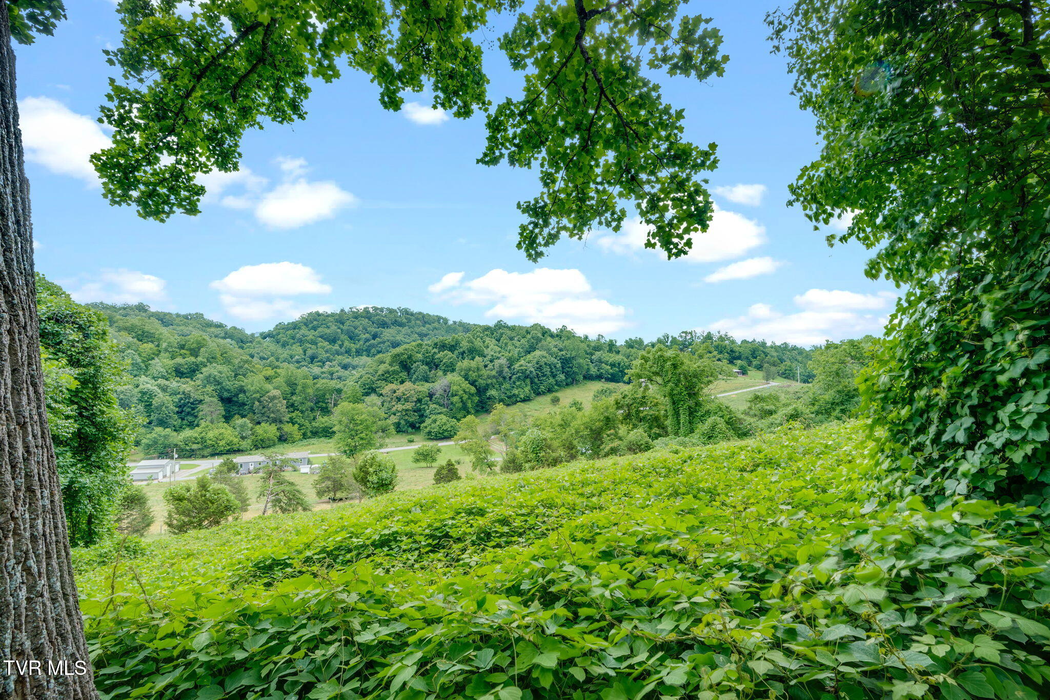 304 Highland Road Jonesborough, TN 37659 - Photo 29 of 35 030