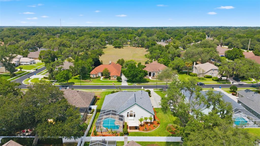 3406 Sylvan Shadow Street Valrico, FL 33596 - Photo 38 of 49