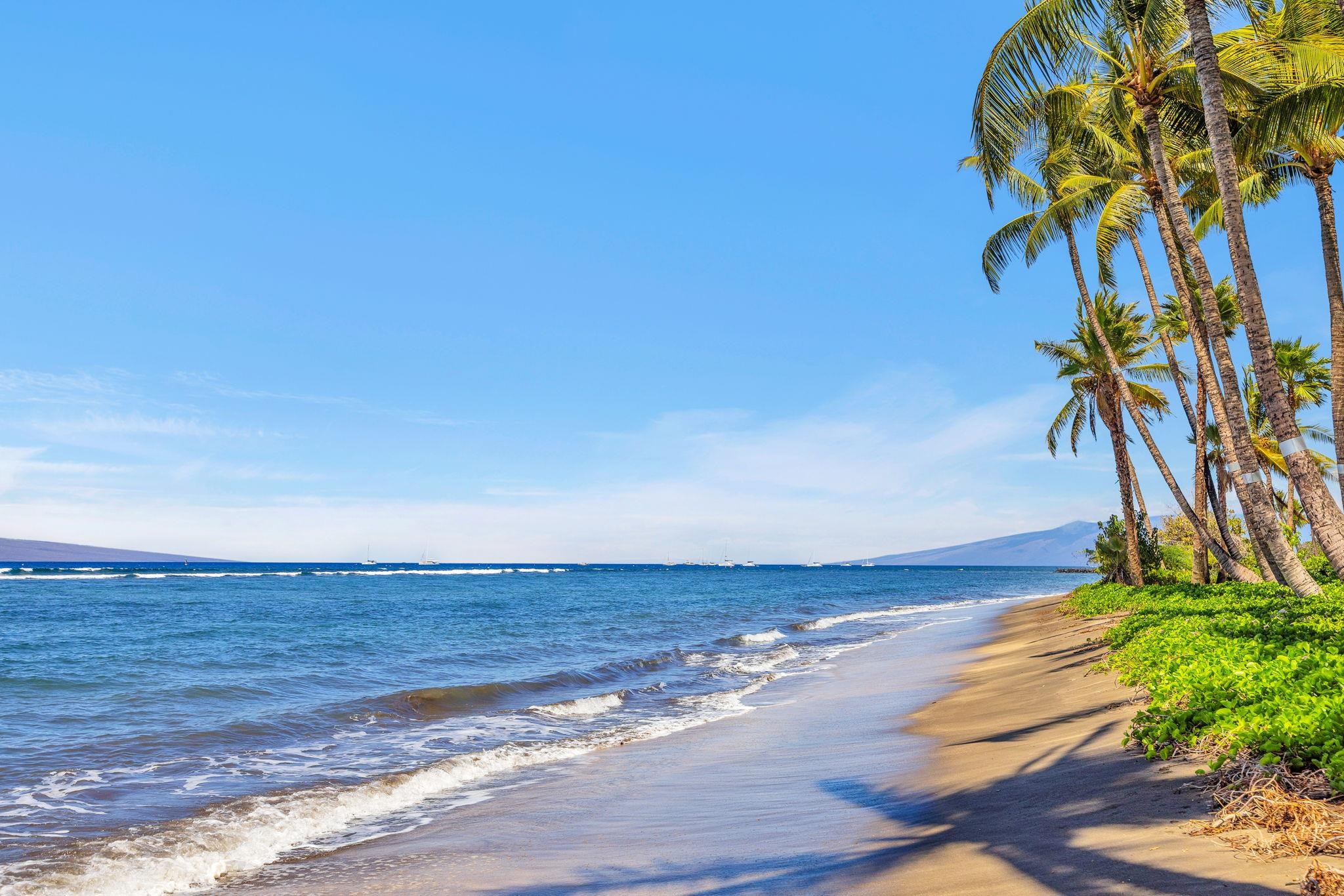 475 Front Street, Unit 202 Lahaina, HI 96761 - Photo 27 of 28