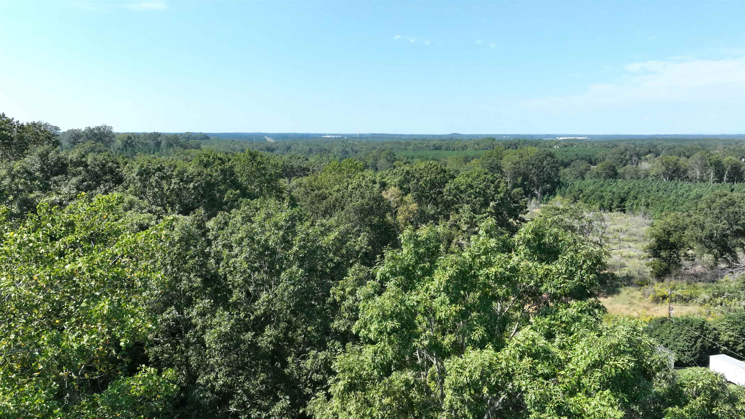 221 Brookfield Road Roebuck, SC 29376 - Photo 2 of 5