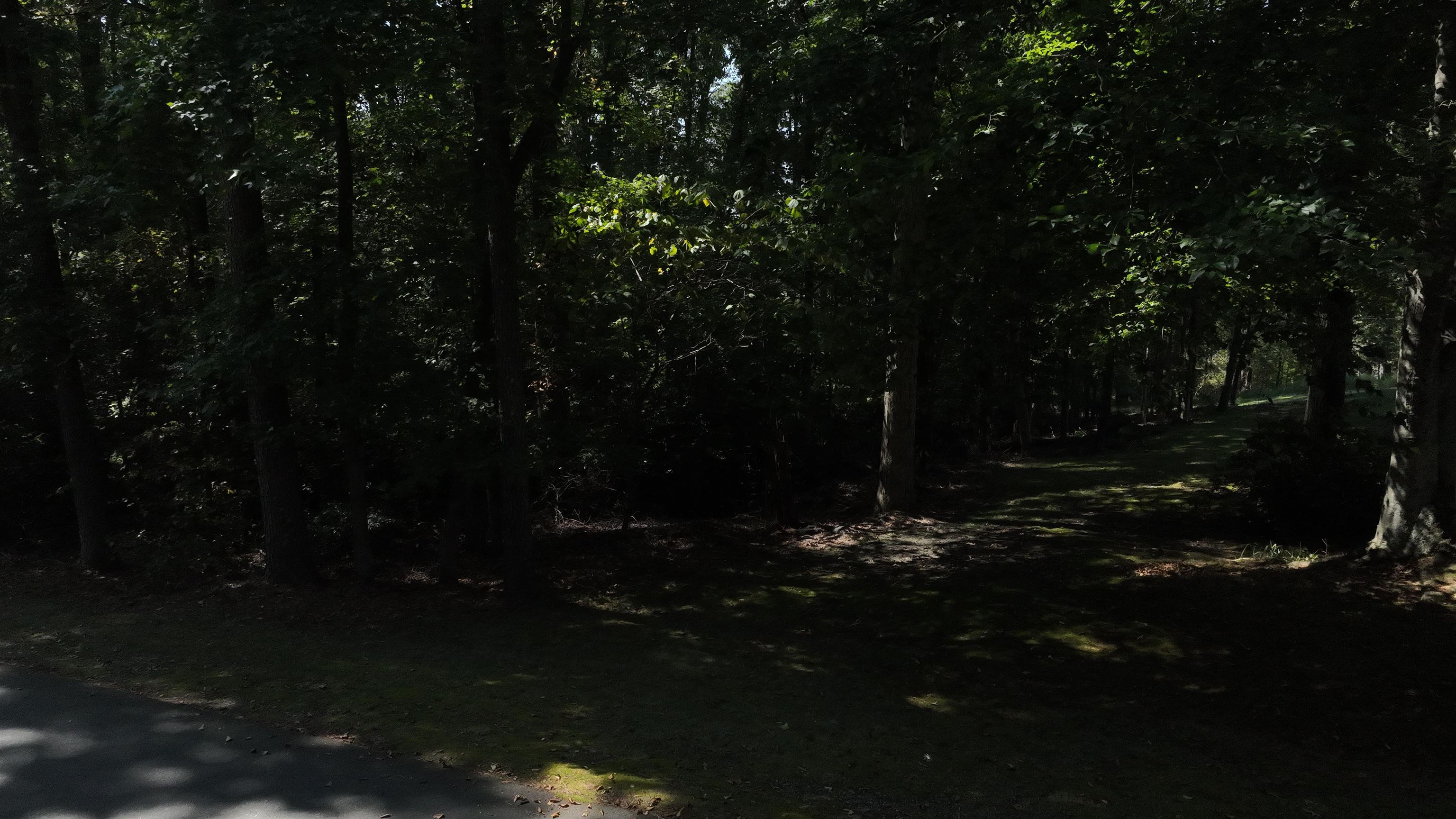 221 Brookfield Road Roebuck, SC 29376 - Photo 4 of 5