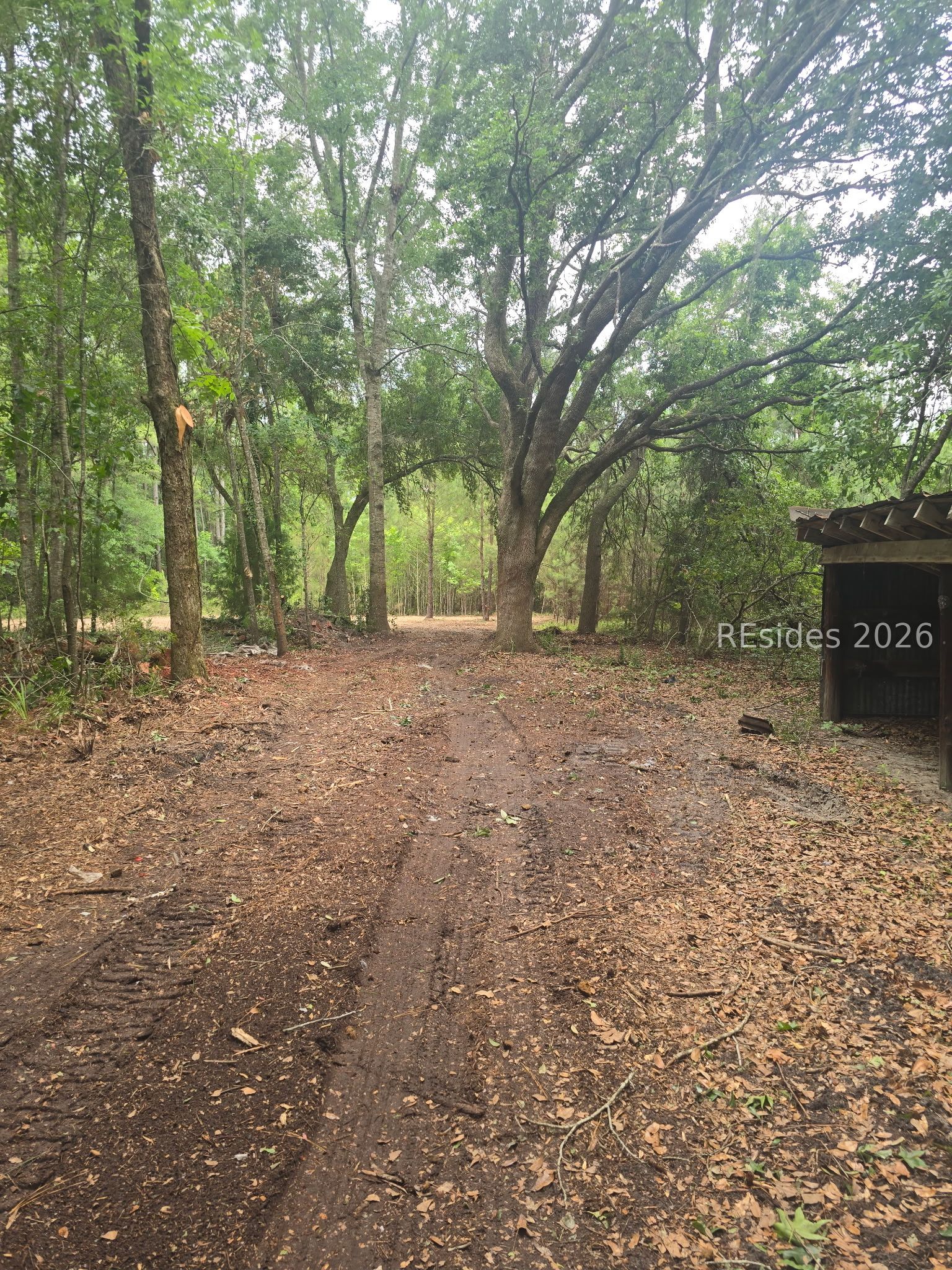 Tbd Firetower Road Ridgeland, SC 29936 - Photo 7 of 17