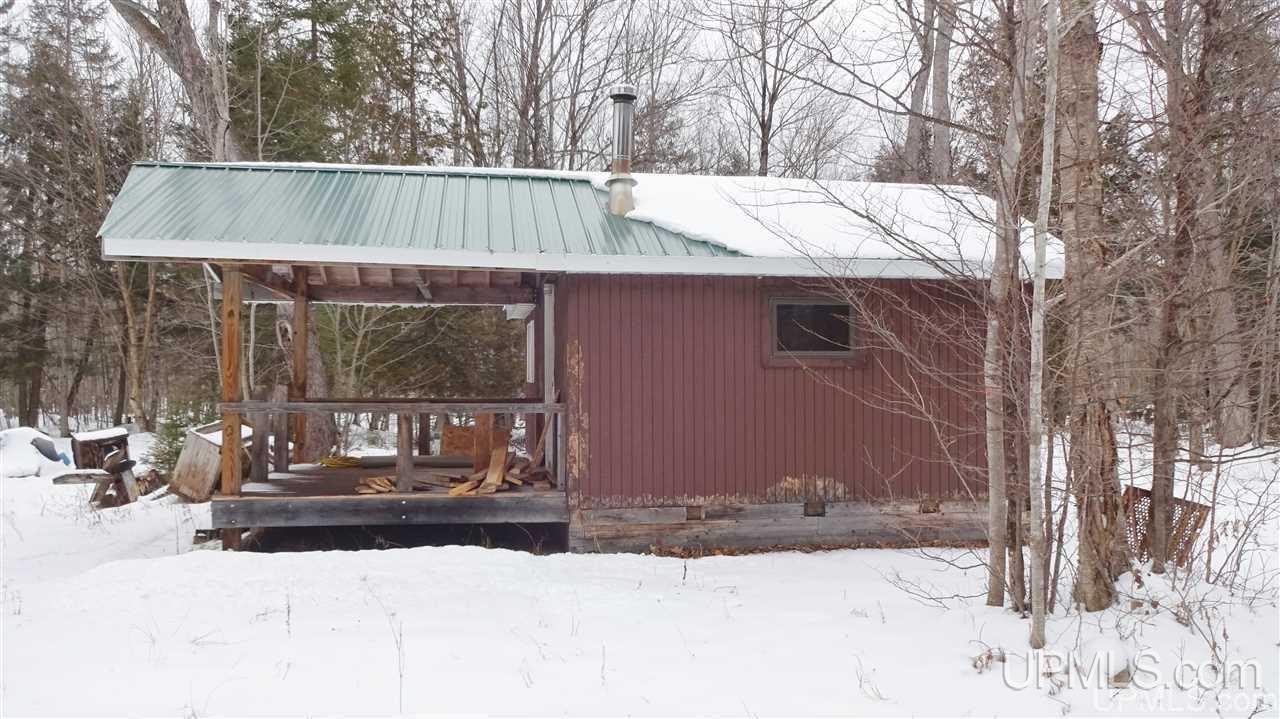 Tbd Winters/savola Road Trenary, MI 49891 - Photo 1 of 19