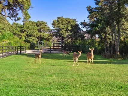 a view of a park with swings and slides