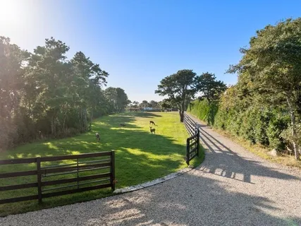 a view of a park with large trees