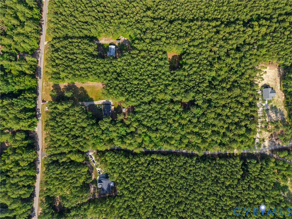 14175 Lebanon Road Disputanta, VA 23842 - Photo 54 of 60 Aerial perspective showcasing a property surrounde
