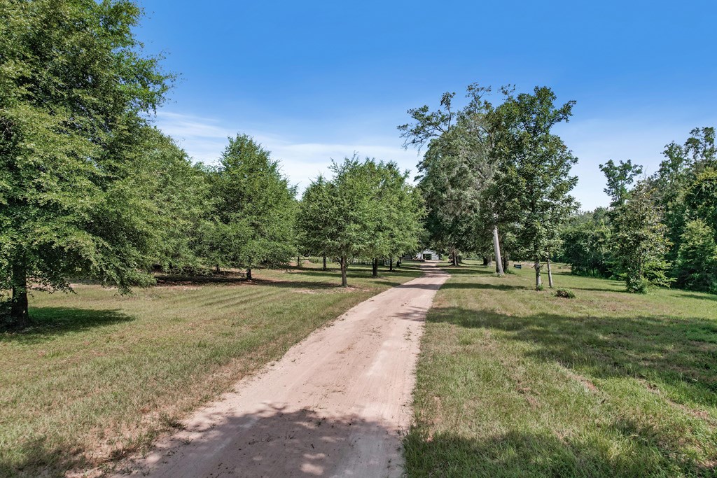 2480 South Springhill Road Gordon, AL 36343 - Photo 95 of 114
