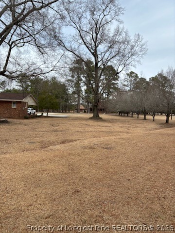 1523 Proctorville Church Road Proctorville, NC 28369 - Photo 10 of 34 a view of an outdoor space and a yard