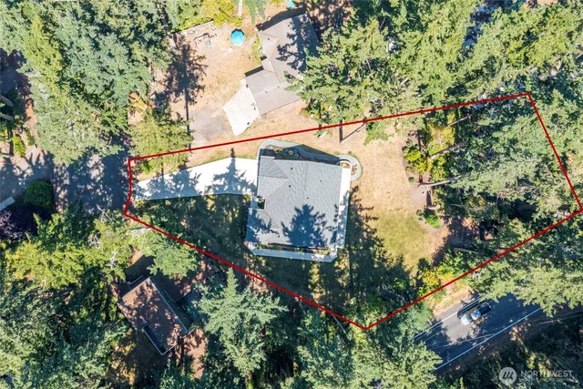 a view of a tree in a garden