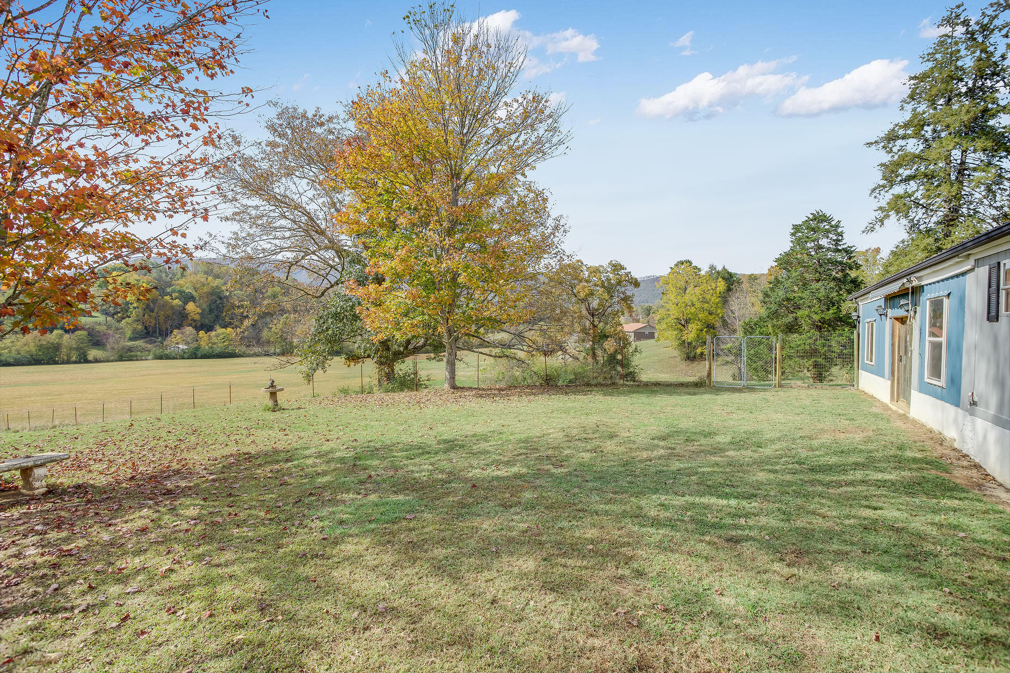 1655 Shale Road Newport, TN 37821 - Photo 3 of 24 16553473