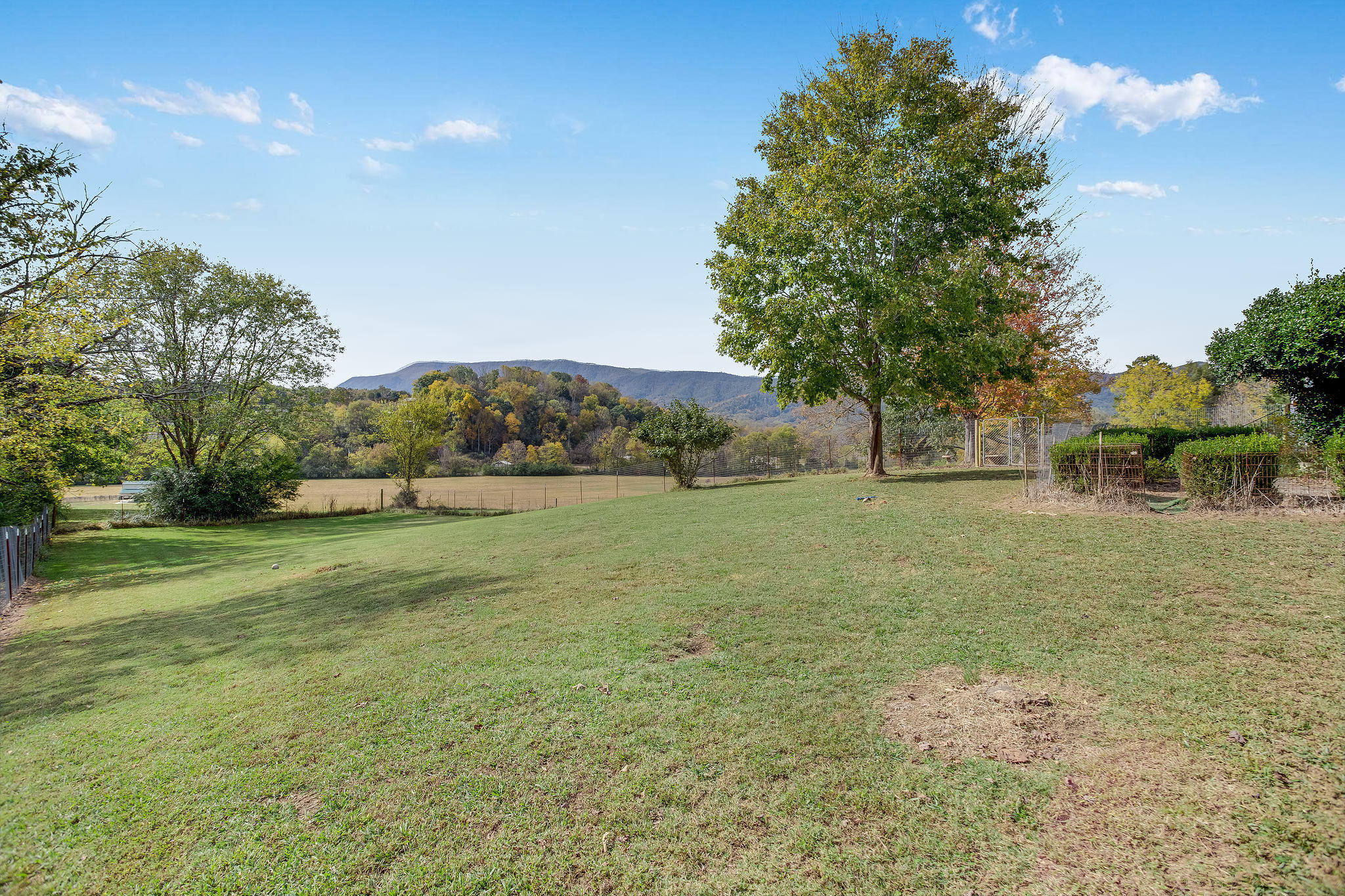1655 Shale Road Newport, TN 37821 - Photo 6 of 24 16553463