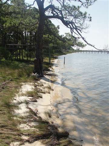 441 Mashes Sands Road Ochlockonee Bay, FL 32346 - Photo 1 of 9 Gallery Image 1