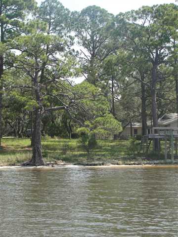 441 Mashes Sands Road Ochlockonee Bay, FL 32346 - Photo 8 of 9 Gallery Image 8