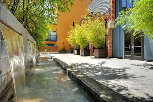 a view of a park along palm trees and sign board