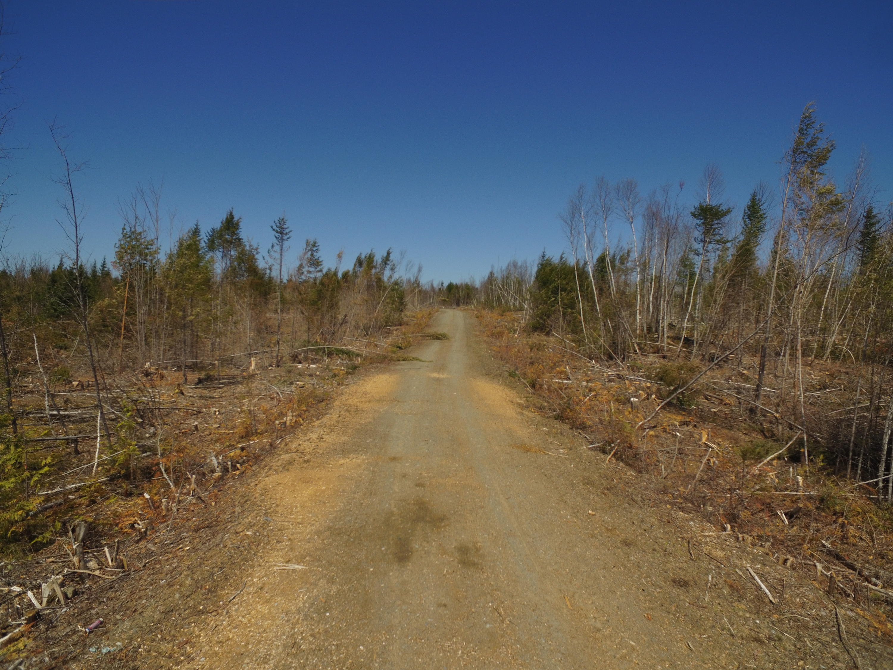 Tbd Goulds Ridge Road Passadumkeag, ME 04475 - Photo 25 of 27 DJI_0117
