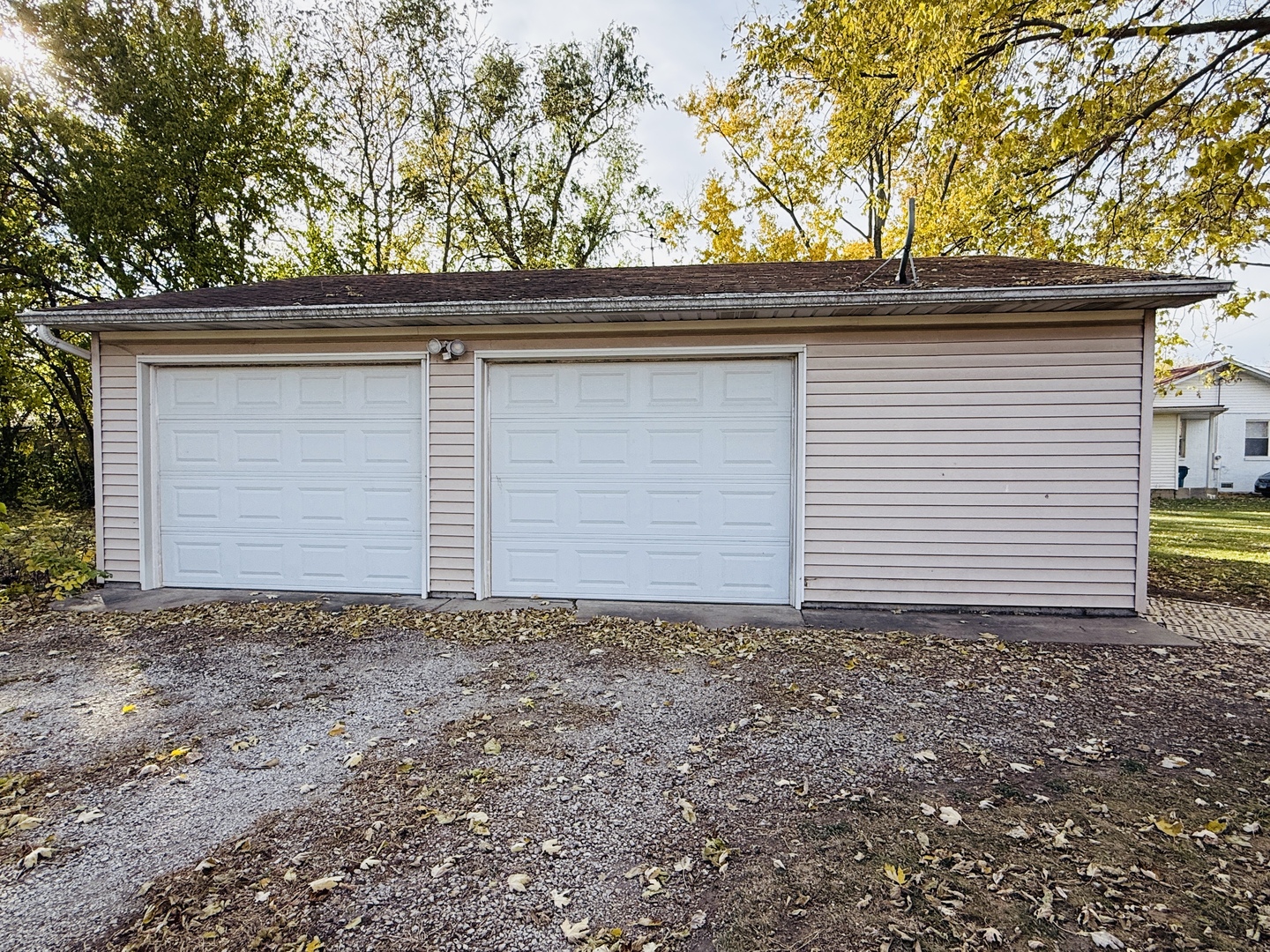 306 7th Street Cornell, IL 61319 - Photo 2 of 17 a small yard covered with trees