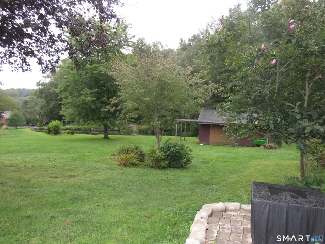 a view of a backyard with large trees