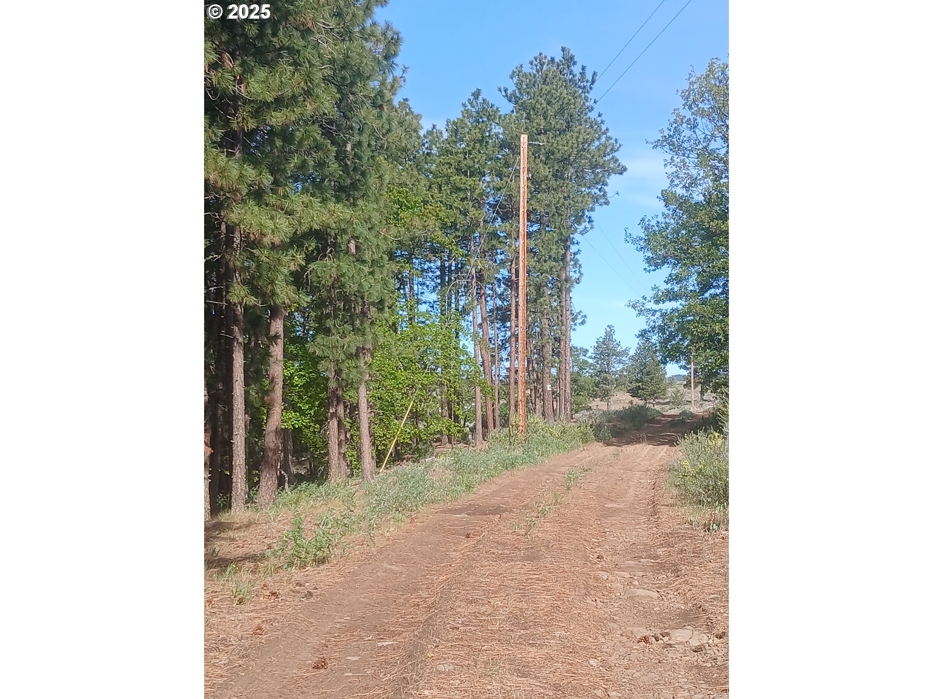Cougar Road Roosevelt, WA 99356 - Photo 2 of 9