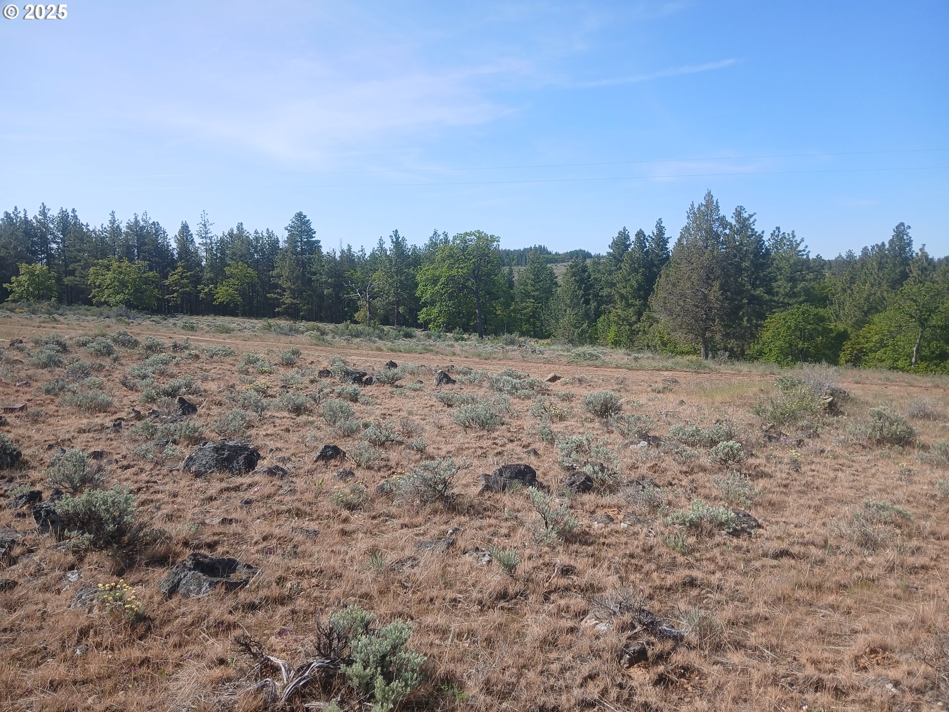 Cougar Road Roosevelt, WA 99356 - Photo 5 of 9
