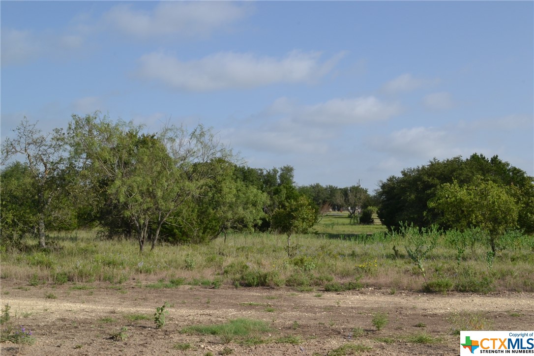 1 And Kempner, TX 76539 - Photo 2 of 5 a view of a field of grass and trees