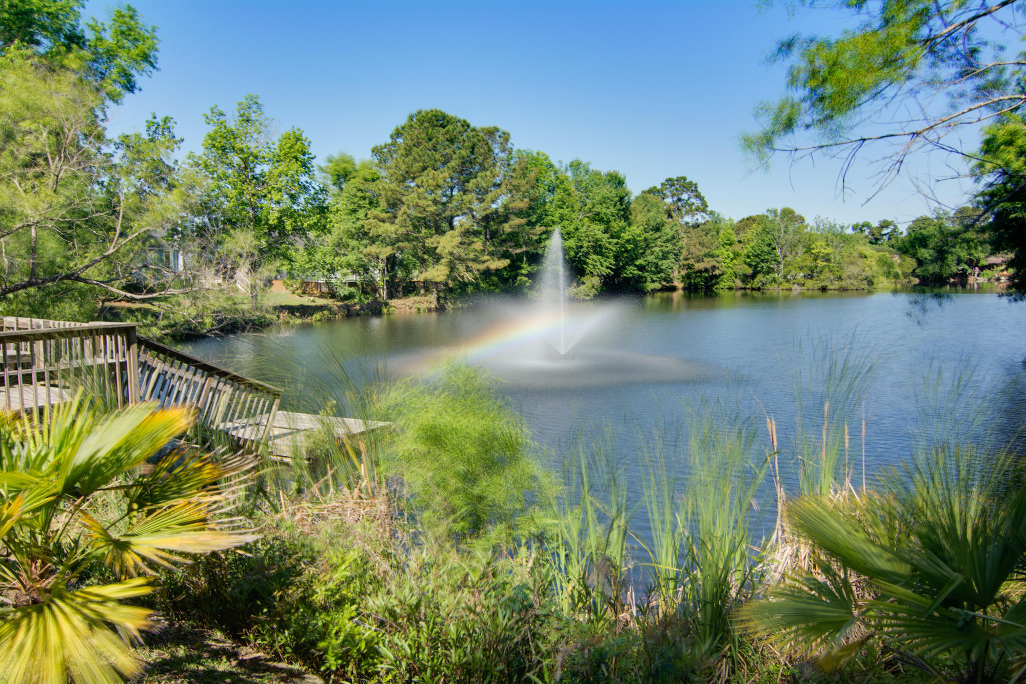 359 Spoonbill Lane, Unit A Mount Pleasant, SC 29464 - Photo 30 of 31 35