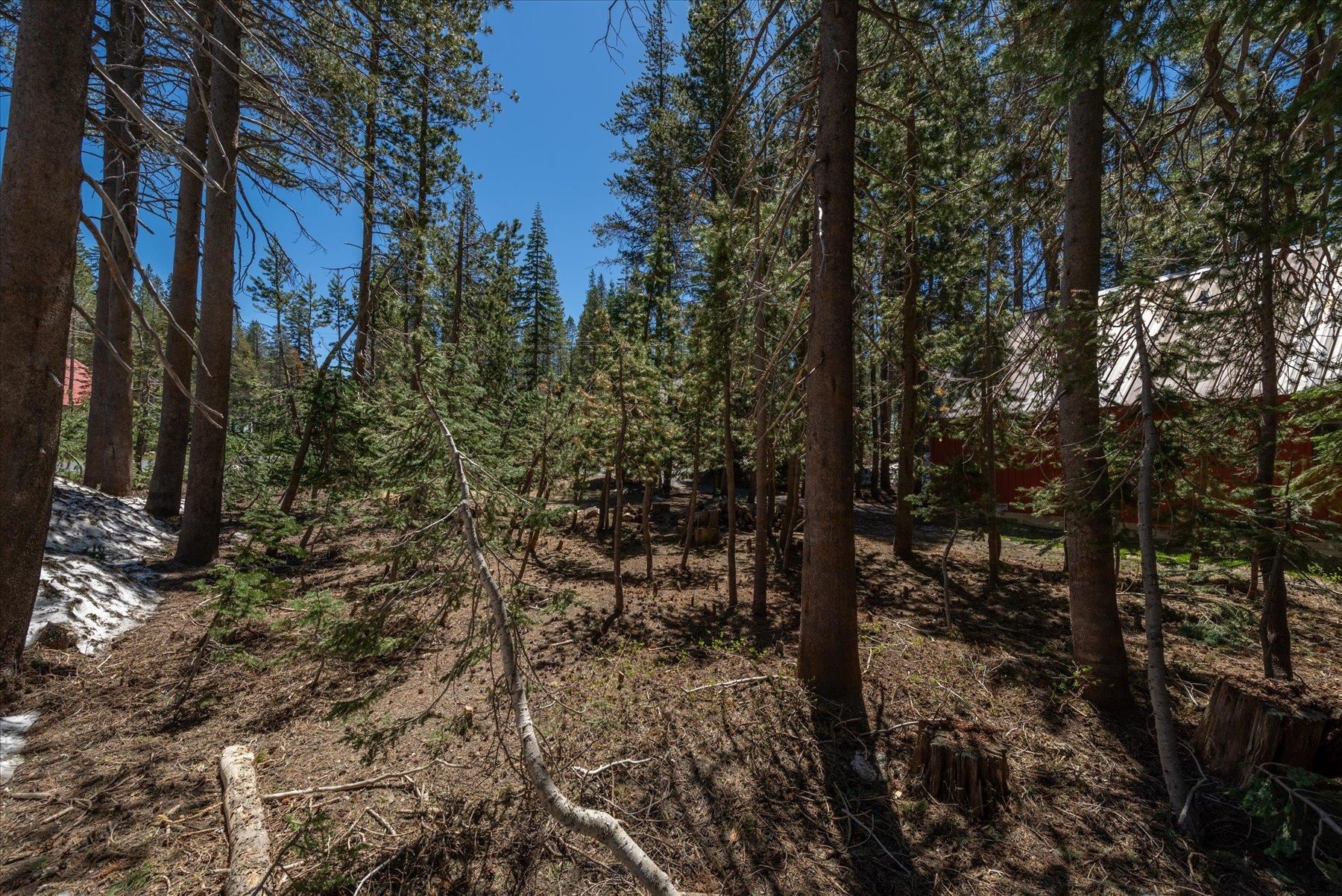 5595 Spruce Road Soda Springs, CA 95728 - Photo 19 of 21 Gallery Image 19