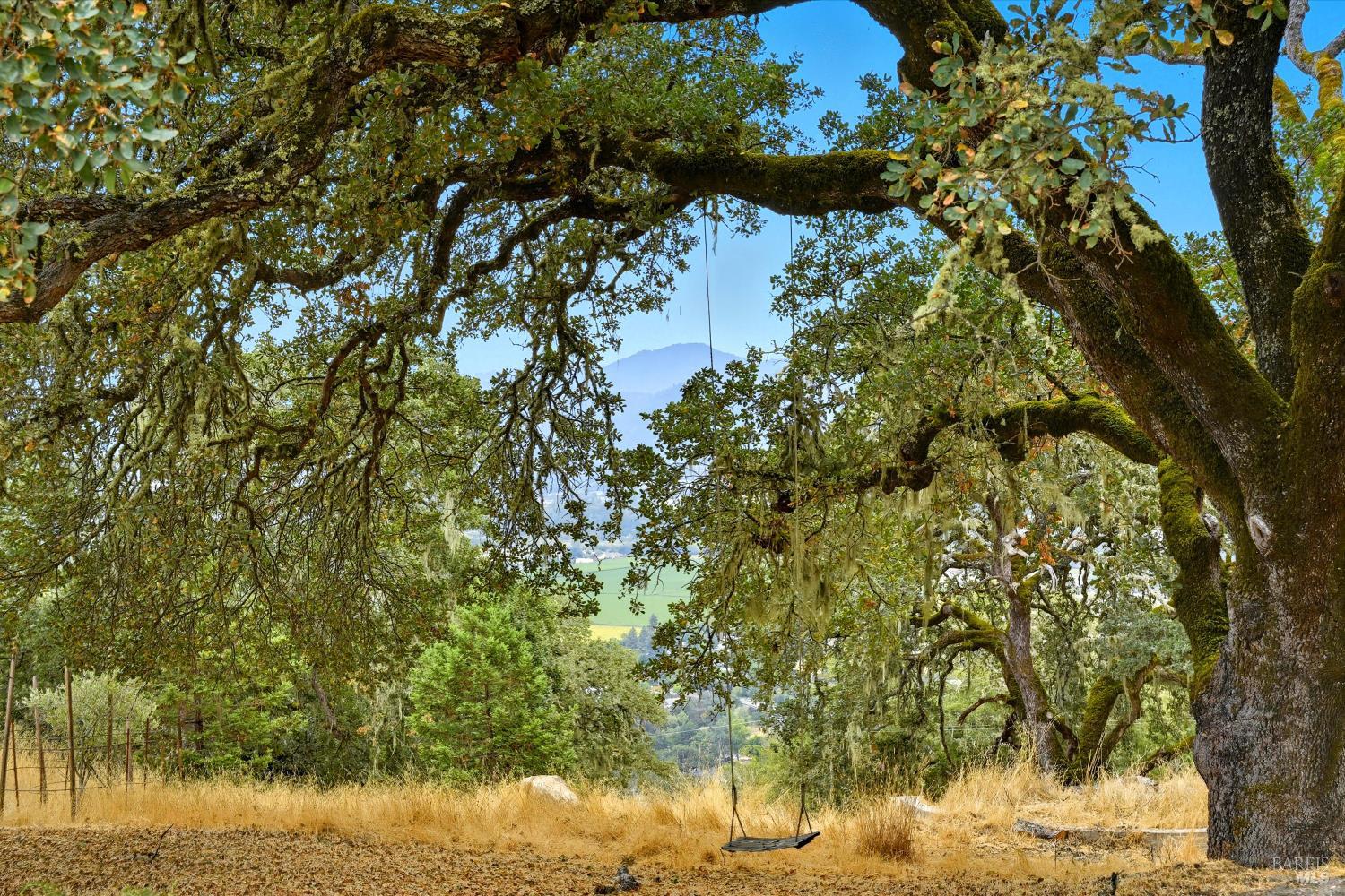31000 Pine Mountain Road Cloverdale, CA 95425 - Photo 45 of 61 Beneath a magnificent heritage oak, a classic swing overlooks the peaceful valley below.