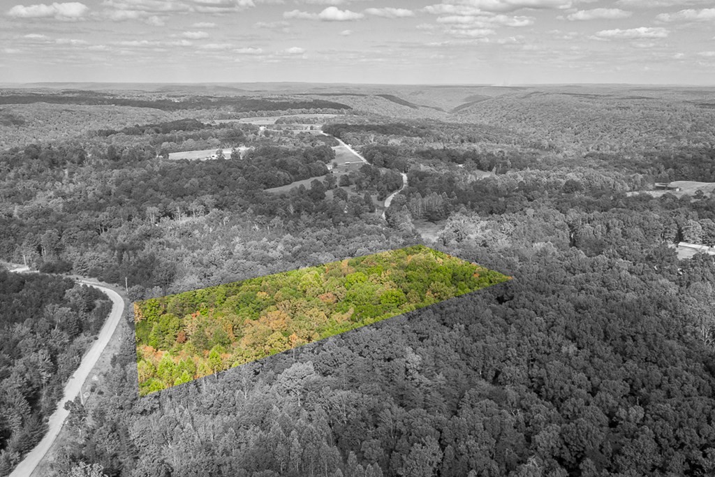 677 Golden Pointe Road Spencer, TN 38585 - Photo 1 of 3 Gallery Image 1
