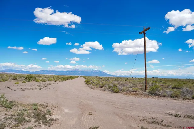 a view of a yard with wooden floor